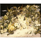 Kwiaty zimowe - William Jabez Muckley (B)