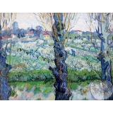 Sad w kwiatach - Vincent van Gogh (B)